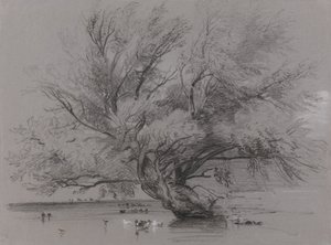 Teich mit Weidenbaum und Enten von Peter de Wint